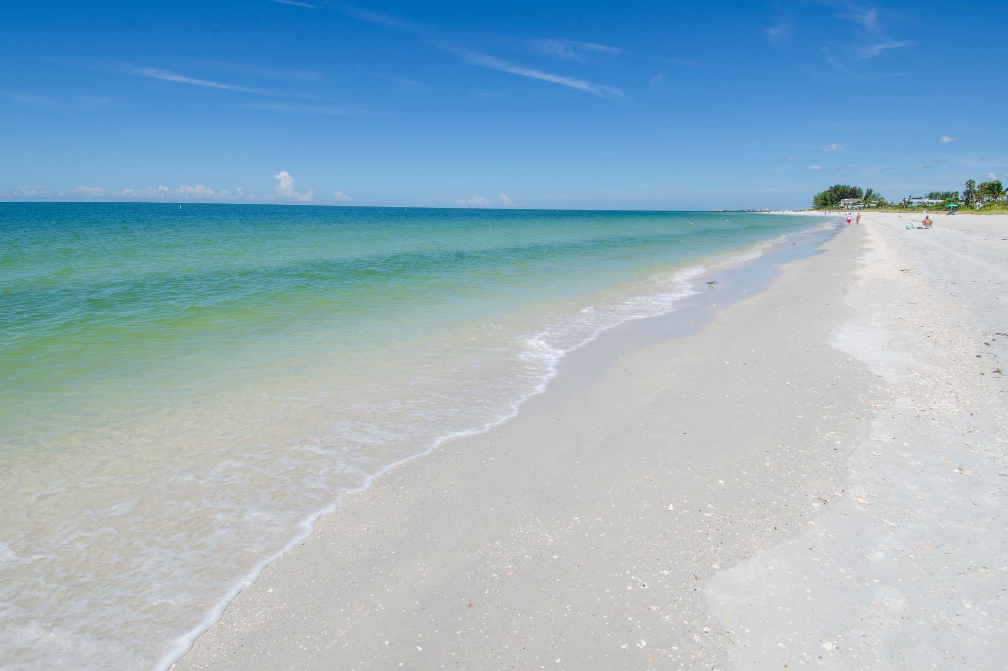 Vacation Condo Rentals in Treasure Island, St Pete Beach and Tampa